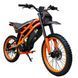 Пітбайк Kugoo Wish 02 pro (2500 Вт, 60 В, 27 А&middot;год, off-road) KW_02pro фото 3